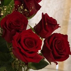 Meet your Posher, Rosanna